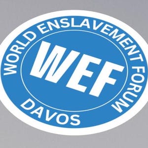 May include: An oval sticker with a blue border and white text. The text reads "WORLD ENSLAVEMENT FORUM" around the top and right side, "WEF" in large letters in the center, and "DAVOS" at the bottom.