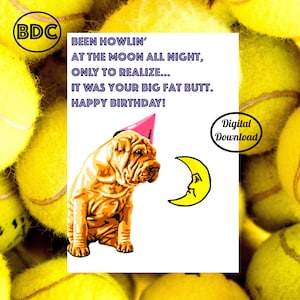 Printable Dog Greeting Card, Printable Birthday Card Funny, Digital Card from Dog, 5x7 Greeting Card, Printable Envelope
