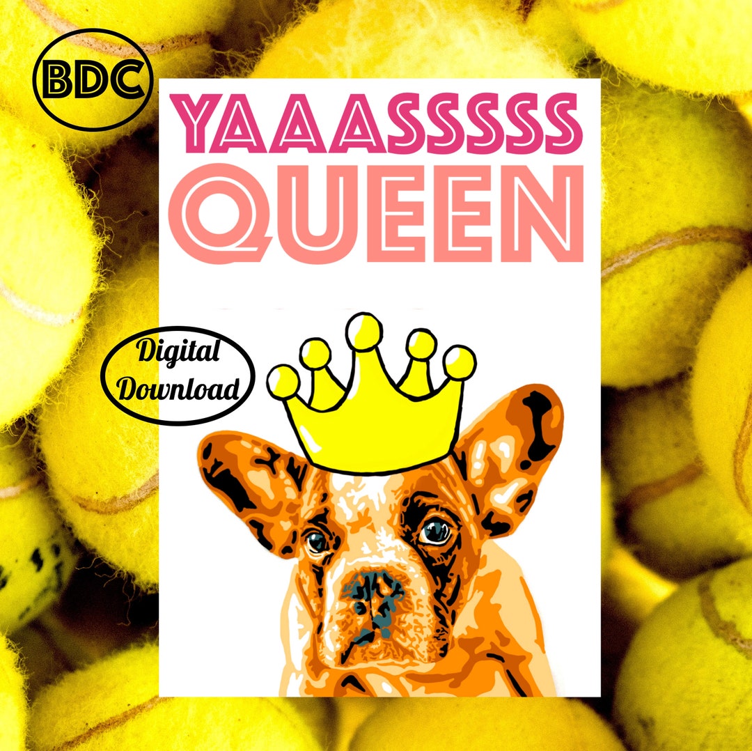 Printable Dog Birthday Greeting Card, Printable Birthday Card Funny ...