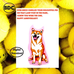 Biglietto di anniversario per cane stampabile, biglietto di compleanno stampabile divertente, biglietto di compleanno digitale dal cane, biglietto di auguri 5x7, busta stampabile