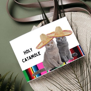 Carte de voeux drôle de jeu de mots de chat - « Holy Catamole Long Time No Taco », carte Tu me manques, carte Rattrapageons-nous, carte d'amitié, carte pour toute occasion