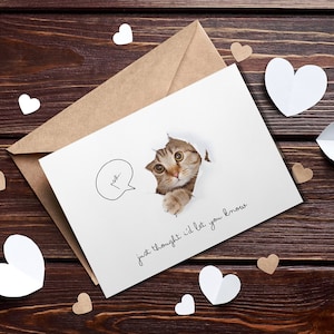 Adorabile biglietto di auguri per gatti, simpatico biglietto di amicizia per gattini, biglietto di apprezzamento per insegnanti, biglietto di anniversario con gioco di parole sui gatti, biglietto di incoraggiamento per gli amanti degli animali domestici