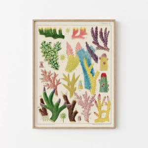 Nautical Coral Poster Beach House Ocean Room Wall Art Vintage Print Coastal Design Bathroom Decor Marine Life Colourful Coral Tropical Art