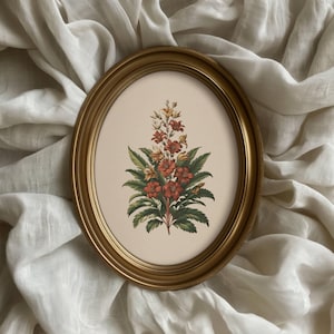 Vintage Style Red Floral Botanical Print Vintage Colour Floral Plants Wall Art Farmhouse Home Decor Rustic Botanical Illustration Plant Art