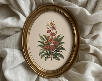 Impression botanique florale rouge de style vintage couleur vintage plantes florales Art mural ferme décoration d'intérieur Illustration botanique rustique art végétal