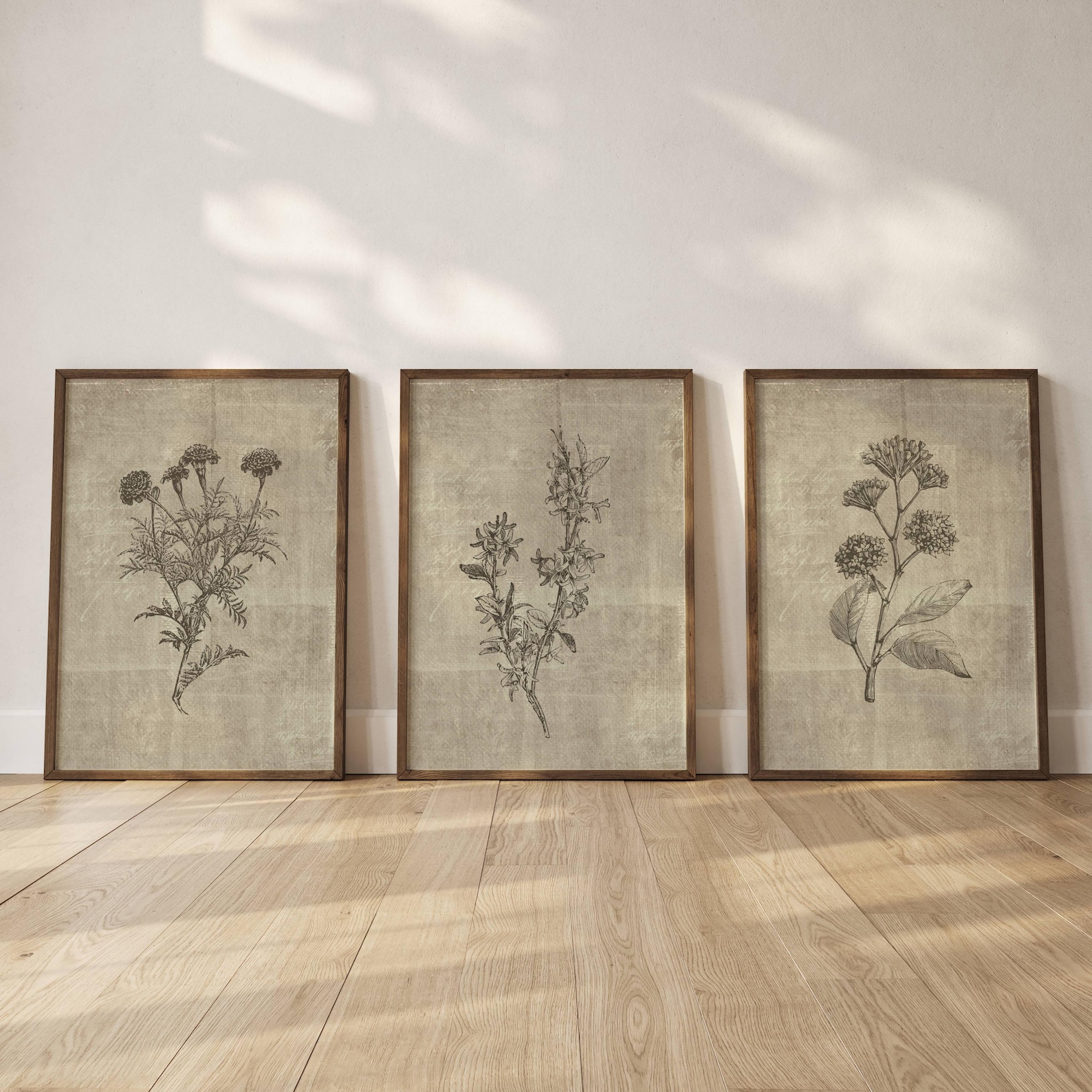 Vintage Botanical Wall Art Print Set of 3 Wall Decor Kitchen Wall Herb ...