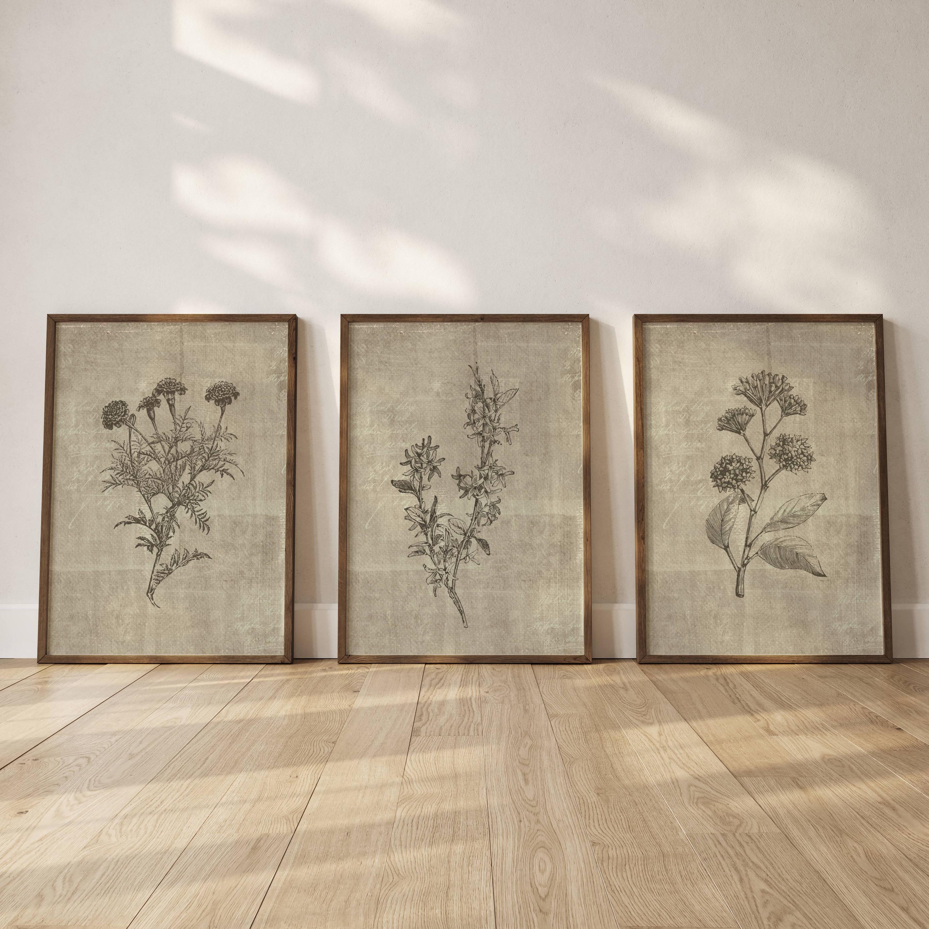 Vintage Botanical Wall Art Print Set of 3 Wall Decor Kitchen Wall Herb ...