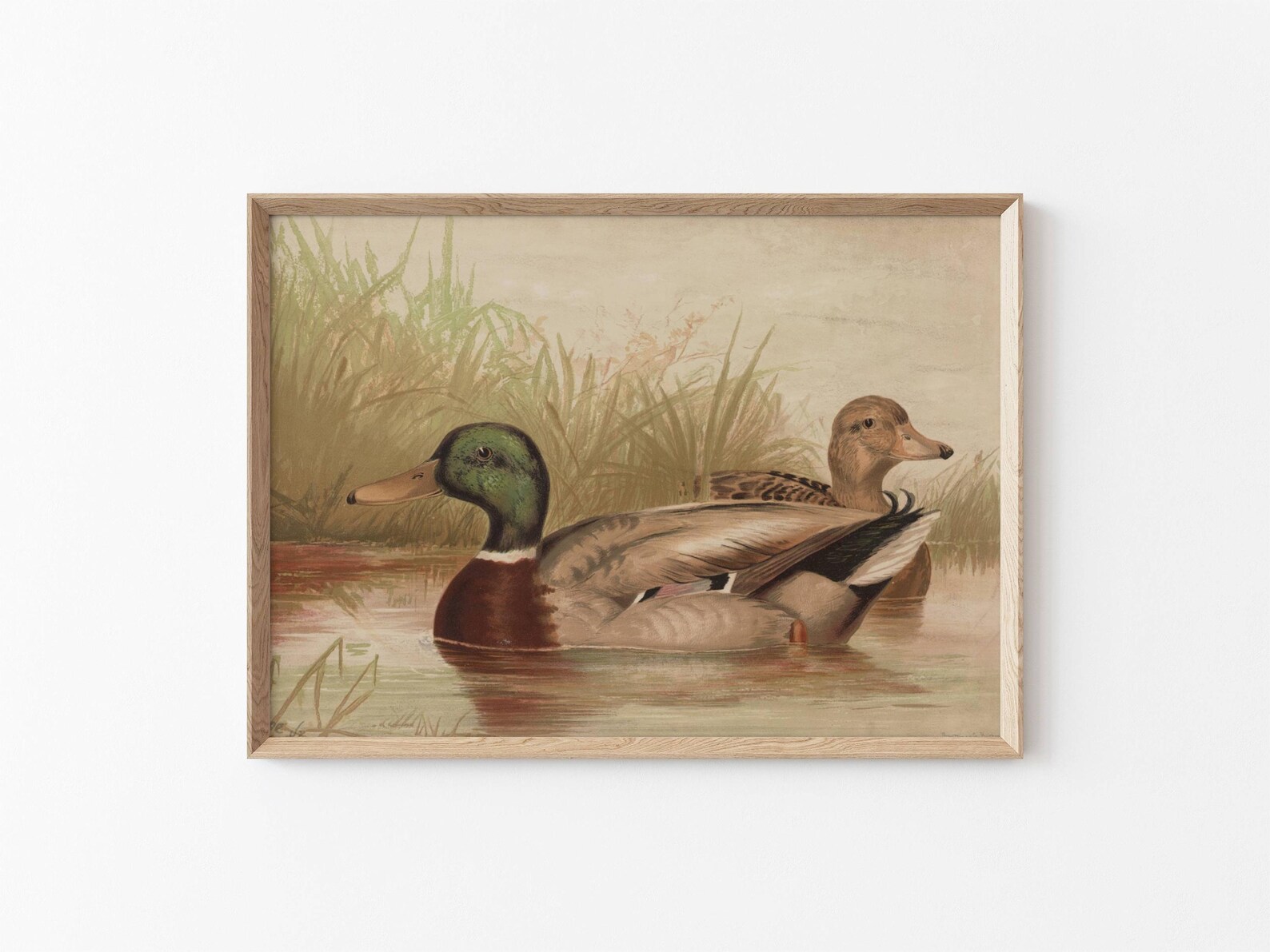 Vintage Mallard Duck Print Rustic Home Decor Antique Mallard Ducks ...