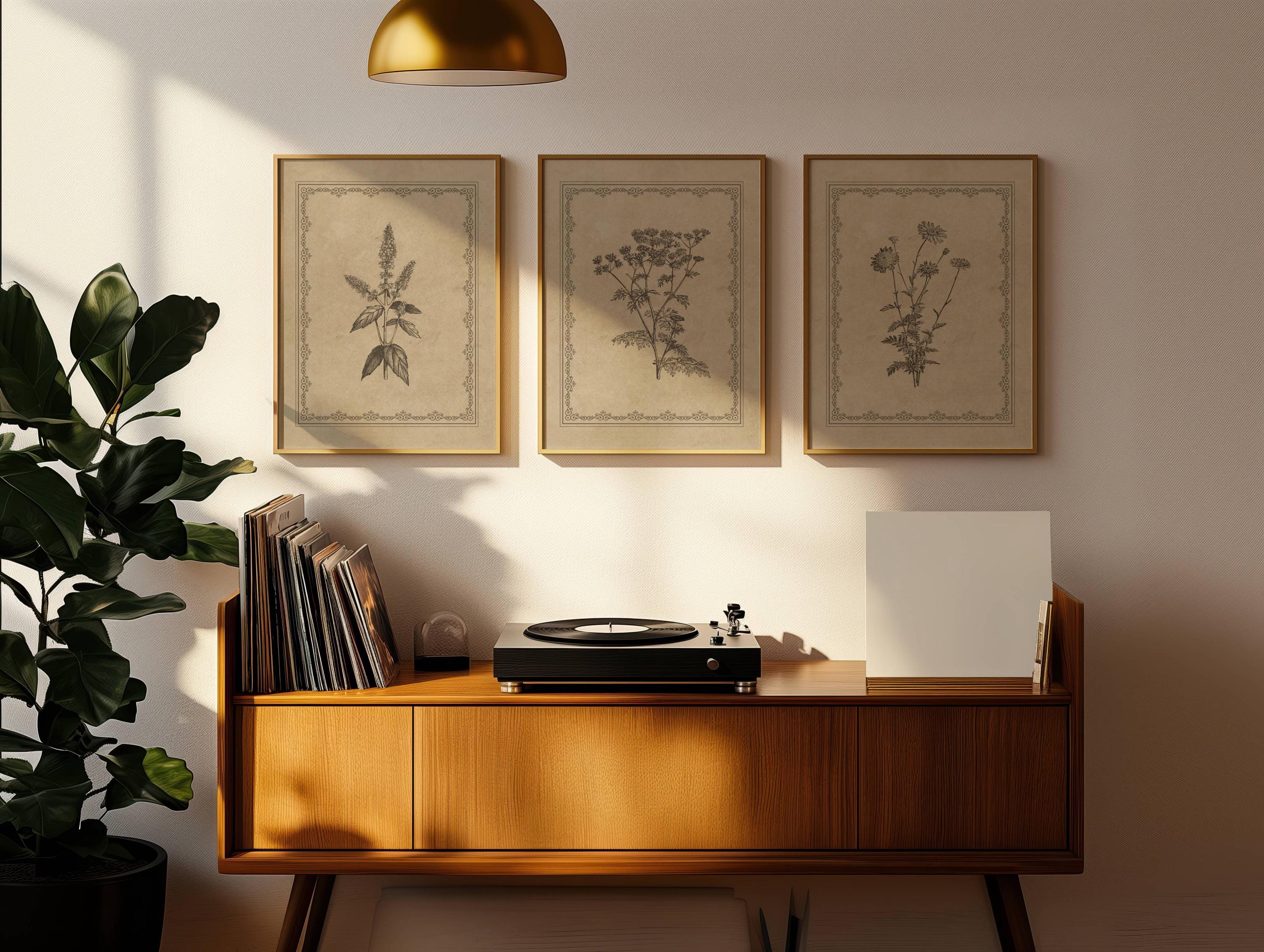 Vintage Botanical Prints Set of 3 Antique Floral Wall Art Neutral Beige ...