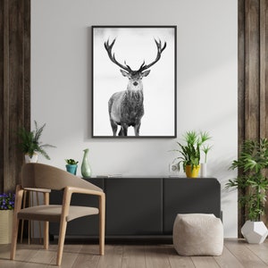 Stag Deer Black & White Photo Print Majestic Deer Poster Animal wall art Fine Art Photography Nature poster Wildlife Print Stag Poster Print