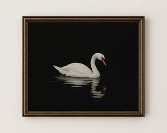 Vintage Swan Printable Art Antique Black Swan Painting Minimalist Vintage Swan Print White Swan Wall Art Swan Landscape Painting Gift
