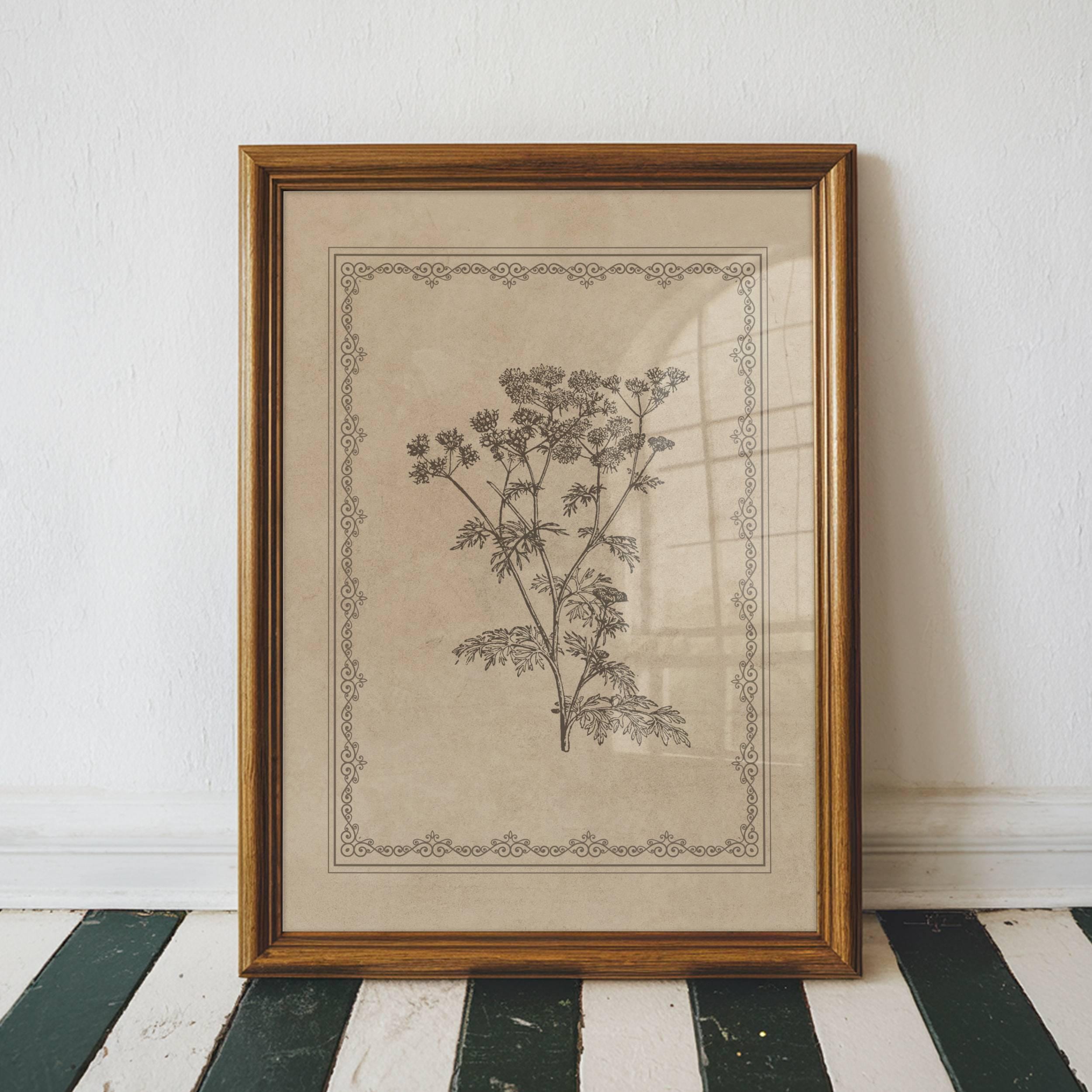 Vintage Botanical Prints Set of 3 Antique Floral Wall Art Neutral Beige ...