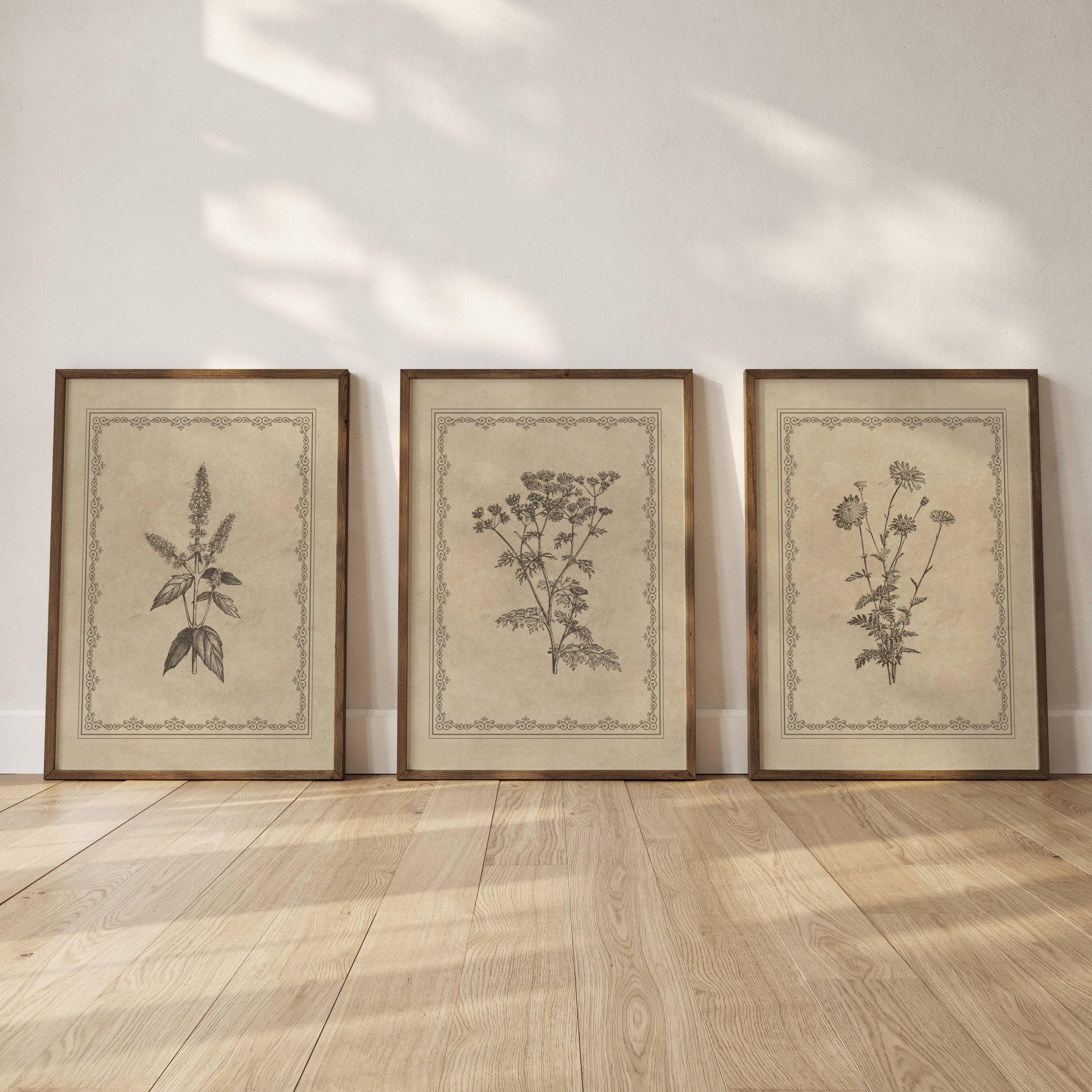 Vintage Botanical Prints Set of 3 Antique Floral Wall Art Neutral Beige ...