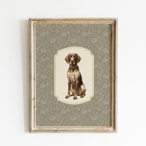 May include: A framed print of a German Shorthaired Pointer dog in a seated position. The dog is brown and white, set against a cream-coloured background. The frame has a floral pattern and a distressed, vintage appearance.