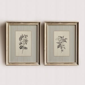 May include: Two framed botanical prints. Each print features a black and white floral illustration set against a striped background. The frames are gold-toned, adding a touch of elegance to the wall art.