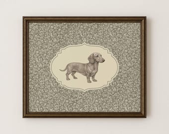 1900年代のトイブルドッグのオリジナルヴィンテージ犬のイラスト