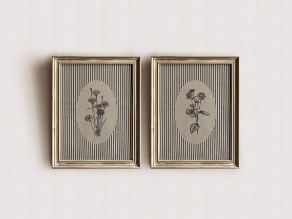 Vintage Botanical Wall Art Set of 2 Neutral Floral Illustration PRINTABLE French Country Farmhouse Decor Striped Background Antique Flower