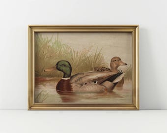 Vintage Mallard Duck Print Rustic Home Decor Antique Mallard Ducks Farmhouse Wall Decor Ducks Nursery Wall Decor Antique Bird Oil Painting