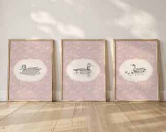 Vintage Duck Illustration Wall Art Set Of 3 for Nursery Room Decor Baby Girl Bedroom Wall Print Nursery Art Kids Room Home Decor Art
