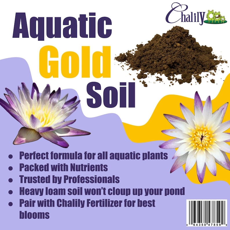 Chalily Aquatic Gold Soil Perfect for Water Lilies Lotus and Etsy