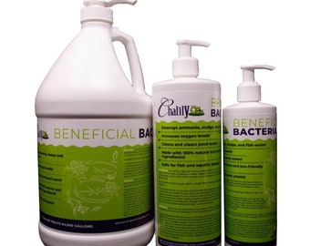 Chalily Beneficial Bacteria  Liquid! Great For ANY Freshwater Koi Pond, Aquarium, or Tank! Destroys Ammonia, Sludge, and Fish Waste!