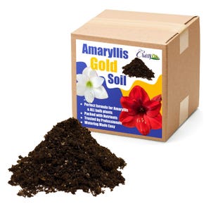 May include: A brown cardboard box with a blue and yellow label that says "Amaryllis Gold Soil". The label also has a white and red amaryllis flower on it. The box is sitting on a pile of dark brown soil.