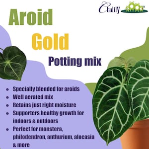 May include: Aroid Gold Potting mix product label featuring a dark green heart-shaped leaf and a potted plant with dark green leaves and white veins. Text includes: Aroid Gold Potting mix, Specially blended for aroids, Well aerated mix, Retains just right moisture, Supports healthy growth for indoors & outdoors, Perfect for monstera, philodendron, anthurium, alocasia & more.