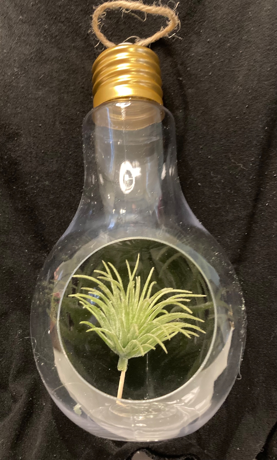 Plastic Hanging Light Bulb Terrarium for DIY Project Etsy