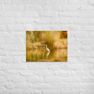 Salt River Bird Poster