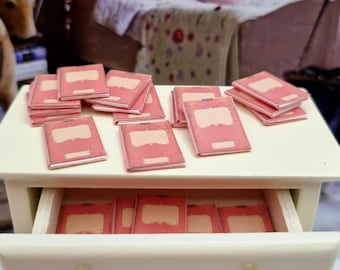 Pink scriptures in miniature 1:12