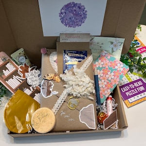 Get Well Blind Date with a Book Box with Gifts, Surprise Book in Different Genres with Bookish Items, Booktok, Book Box with Get Well Items