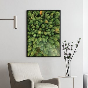 Einteiliges Plakat | Wald Wandbild für Wohnzimmer oder Schlafzimmer | Naturfotografie Drucke 30 x 40 cm, 50 x 70 cm