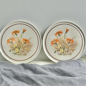 Puede incluir: Dos platos redondos blanquecinos con borde marrón y diseño floral. El diseño floral presenta flores naranjas y amarillas con tallos verdes y detalles marrones. Los platos están sobre un fondo gris.