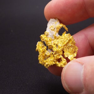 Native gold crystal with quartz, gold nugget, native mineral sample, metal specimen, collectible, Eagle&#39;s Nest Mine, California