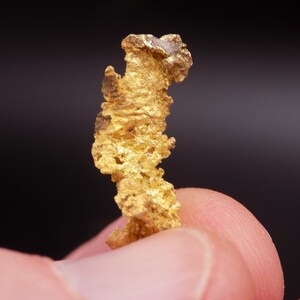 Crystallized Gold, Gold Nugget, Mineral Specimen, Native Metal, Gold Specimen, Canada