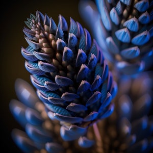 Blue and Purple Lupine Flower - Macro Nature Photography - Digital Print Download - Close-up Lupine Flower Photos - Wildlife Photographs