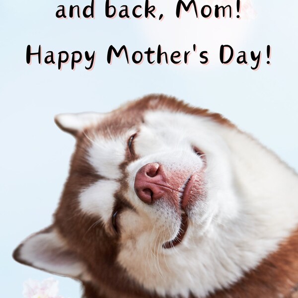 Printable Cards | Funny Mother's Day Cards | Digital Mother's Day Card | Digital Download | Brown and White Dog