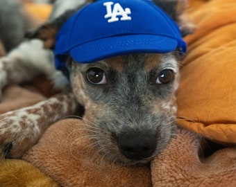 Dodgers baseball hat for dogs. LA Dog hat. Custom embroidery available. Blue Hat. Los Angeles