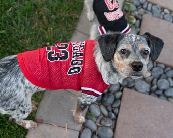 Hunde Chicago Basketball Shirt / Jersey. 23. Hund Jersey