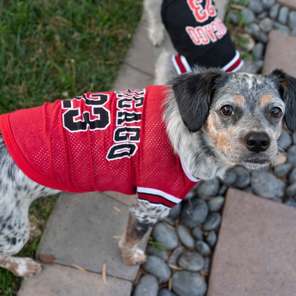 Dog Chicago basketball shirt / Jersey. 23. Dog Jersey