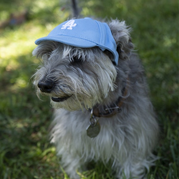 Dodgers Baseballmütze für Hunde. LA Hundemütze. Individuelle Stickerei möglich. Babyblauer Hut. Los Angeles