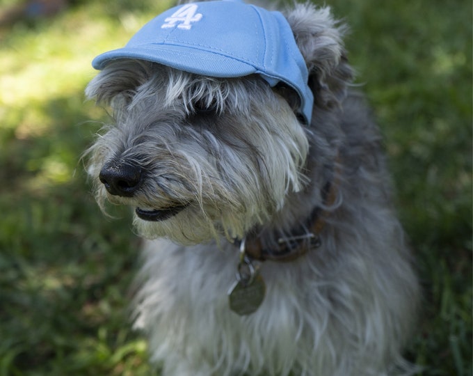 American Dog Baseball Hat