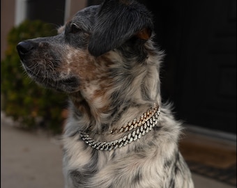 Cuban Link Chain for Dogs, Diamond necklace pet chain - Gold / Silver