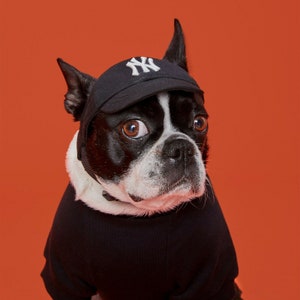 NY Yankees New York Dog Baseball Hat / Cap – Black