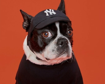 NY Yankees New York Dog-honkbalhoed / pet – zwart