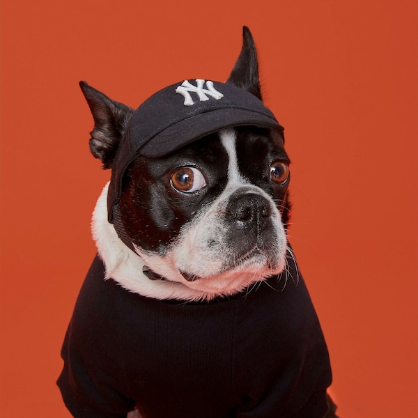 NY Yankees New York Dog Baseball Hat / Cap – Black