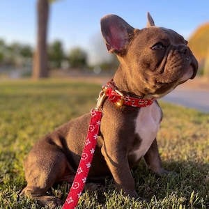 Upcycled Louis Vuitton Dog Collar Etsy