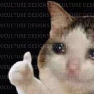 HD Crying Cat Thumbs Up Meme DIGITAL POSTER 18"x24" Personalizable!