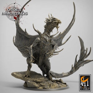 May include: A detailed, grey dragon figurine with outstretched wings and sharp claws, perched on a rocky base. The dragon has an open mouth, revealing teeth, and the text "ORDER IMMORTALIS" is visible in the upper left corner.