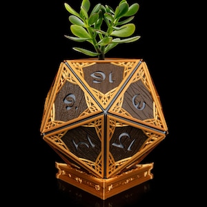Op de afbeelding: Een gouden, houten, 20-zijdige dobbelsteen-plantenpot met een kleine groene vetplant die erin groeit. De dobbelsteen heeft zwarte cijfers en een decoratief, ingewikkeld ontwerp.